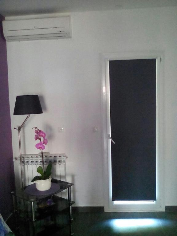 Apartment Poropat ポレッチ 部屋 写真