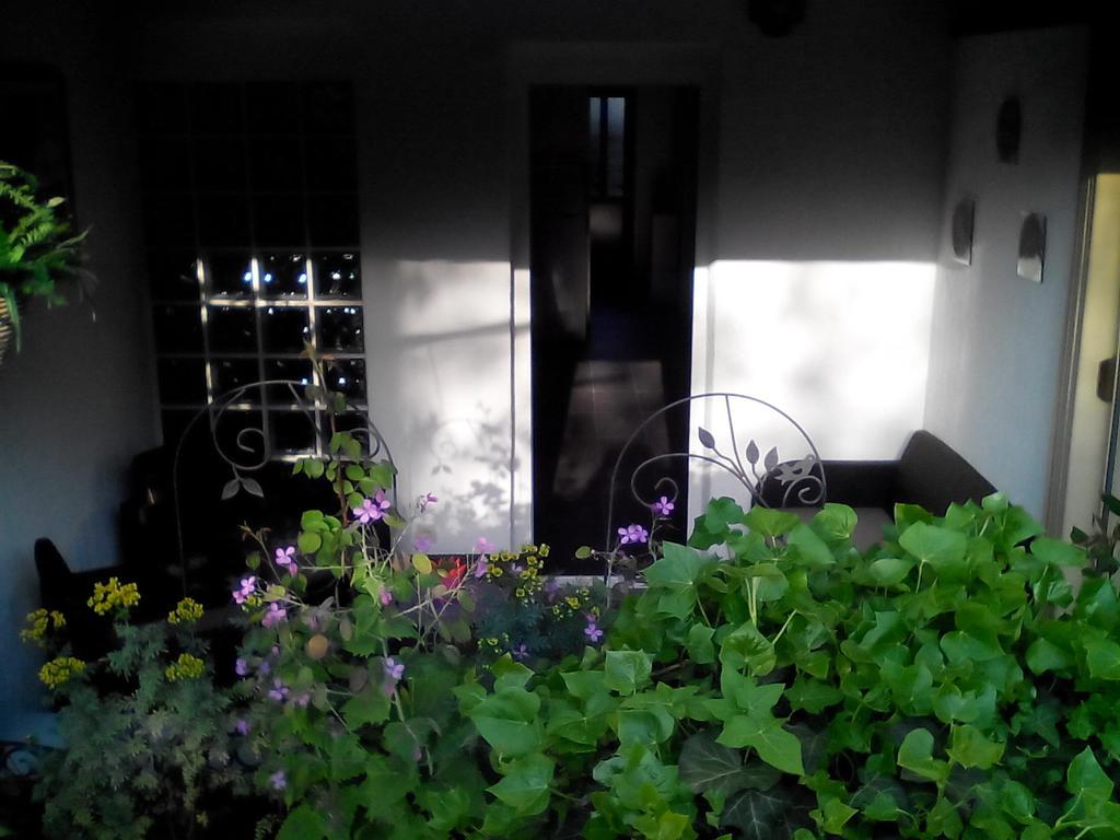 Apartment Poropat ポレッチ 部屋 写真