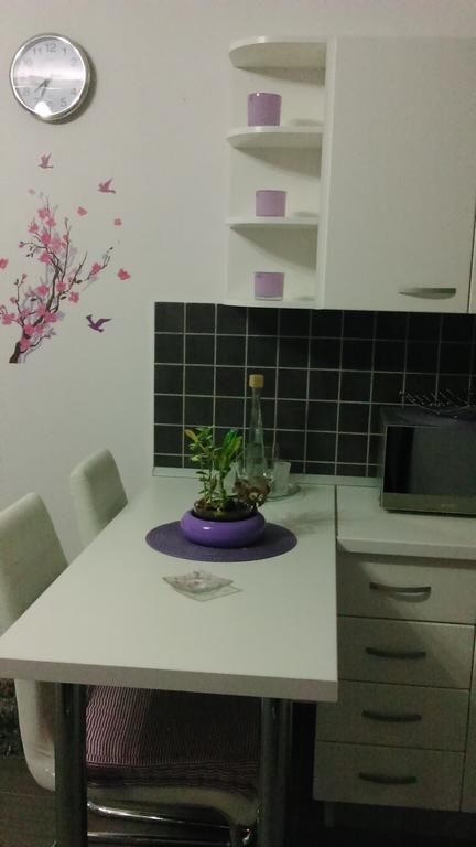 Apartment Poropat ポレッチ 部屋 写真